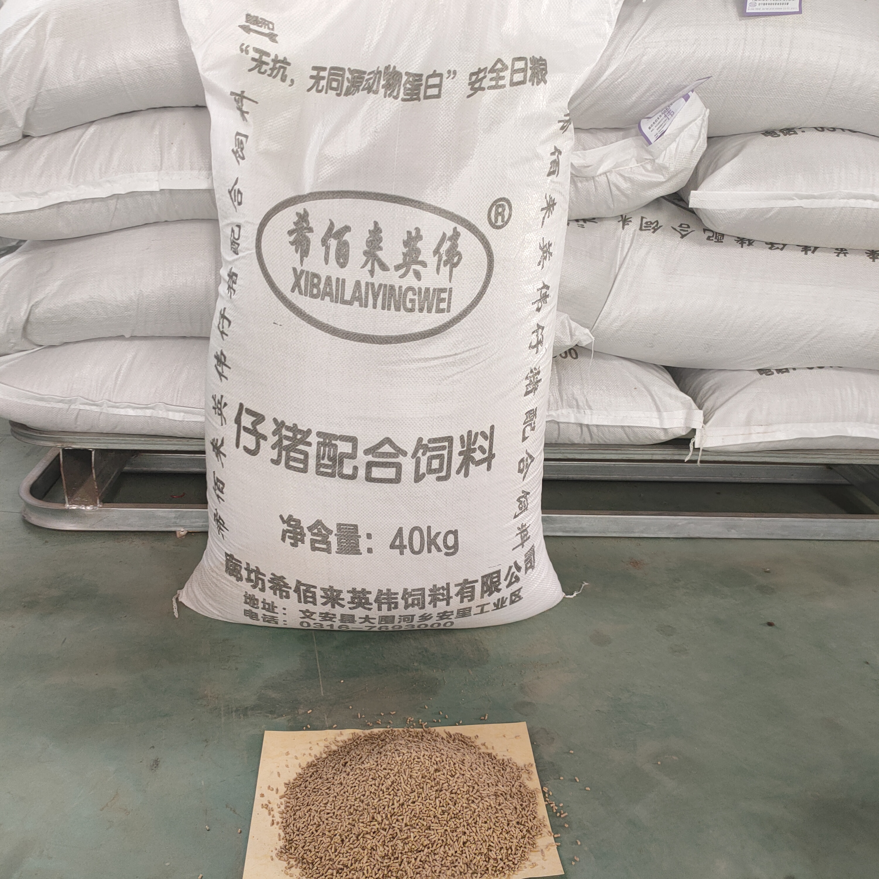 现货供应仔猪饲料 哺乳仔猪饲料 小猪用配合饲料 营养丰富