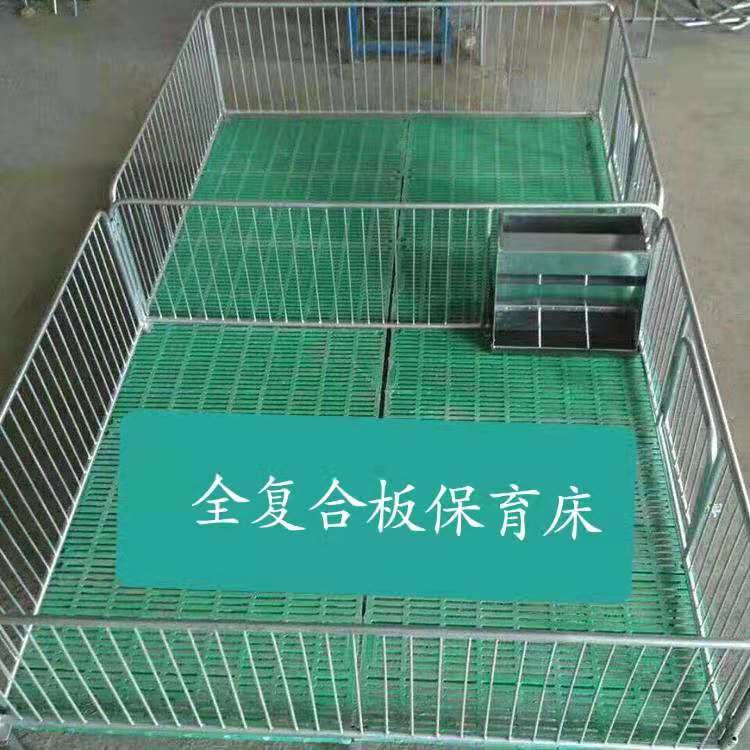 加后保育床仔猪保育栏小猪复合漏粪板猪用围栏全复合小猪保育栏设备