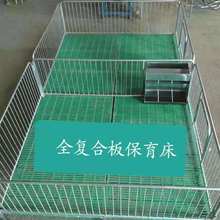 加后保育床仔猪保育栏小猪复合漏粪板猪用围栏全复合小猪保育栏设备