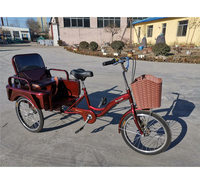 宏迪新款休闲三轮车 老年代步车  小型三轮车批发