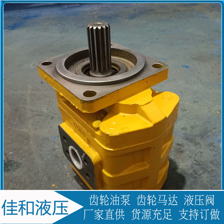 CBG系列齿轮油泵厂家供应 CBGJ系列高压齿轮油泵