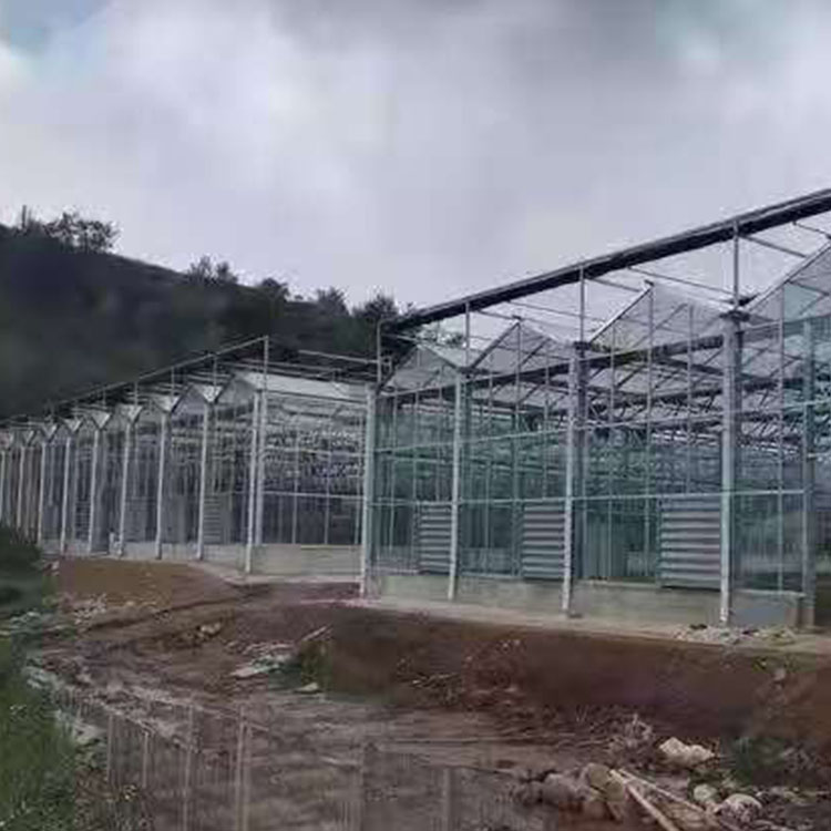 连栋玻璃温室造价 轩琪承建连栋玻璃温室 使用寿命长