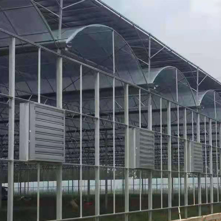 智能温室建造商 轩琪建造智能温室 抗雨雪强度高