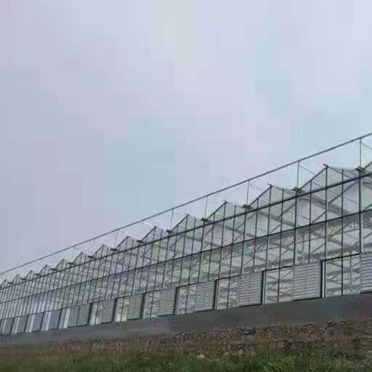 花卉玻璃温室承建 河南花卉玻璃温室 抗雨雪强度高