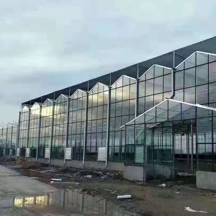 轩琪承建立体玻璃温室立体玻璃温室设计 结实耐用