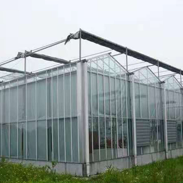 智能温室大棚搭建 江苏智能温室大棚 使用寿命长