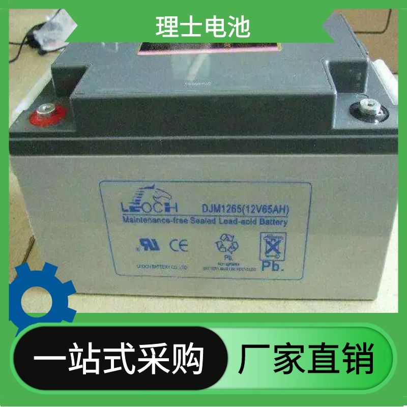 青岛理士蓄电池DJW12v5ah 2v200ah直流屏 UPS电源 EPS应急 太阳能专用电池