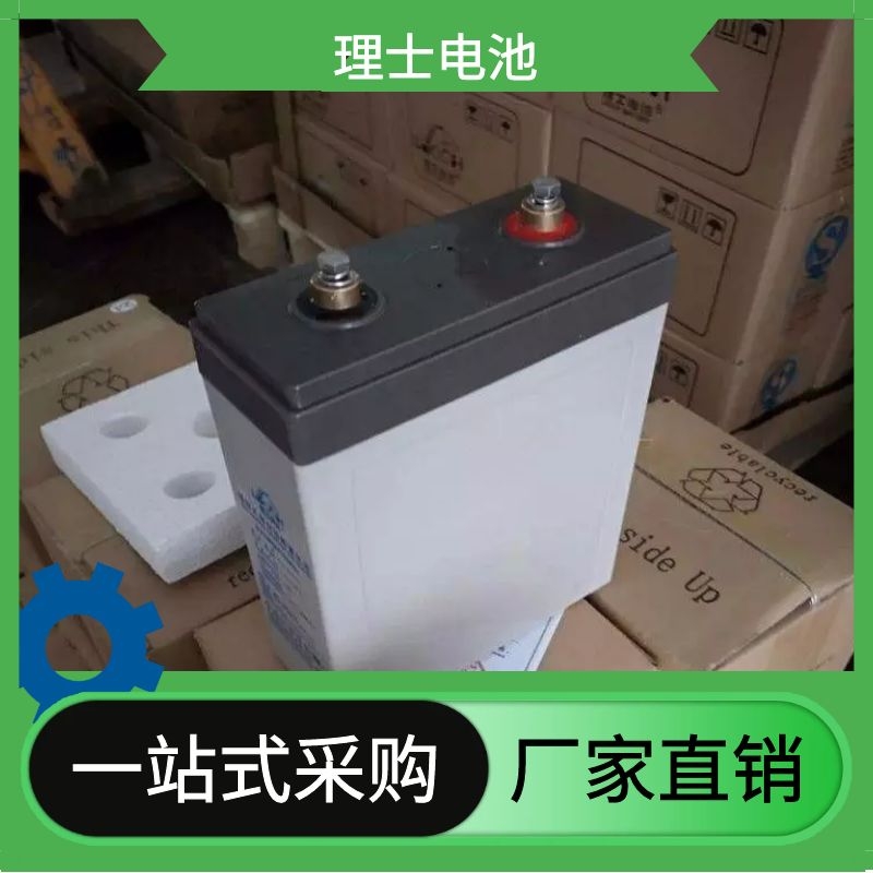 亳州理士蓄电池DJ100 理士2v100ah 通信 直流屏 ups eps电源配套 铅酸免维护蓄电池