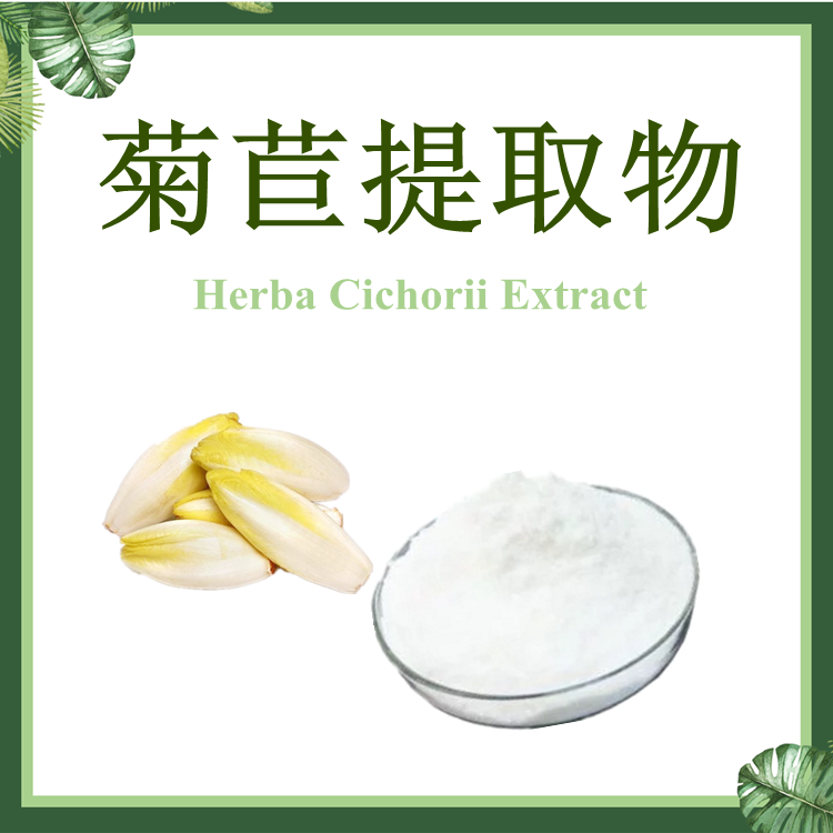  菊苣提取物10:1 菊苣浸膏粉 【SC厂家】菊苣粉