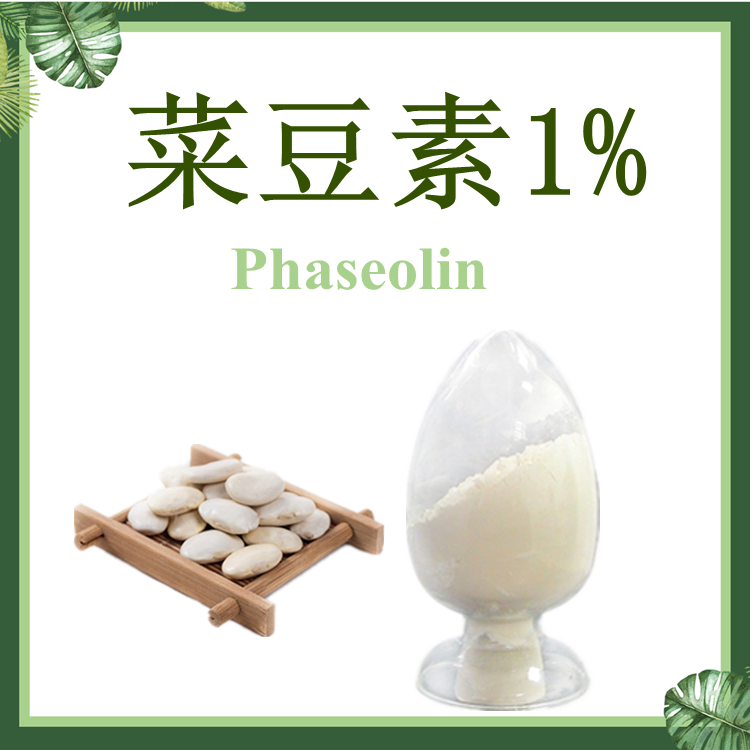 菜豆素1%  白芸豆提取物 【SC厂家】芸豆蛋白 HPLC