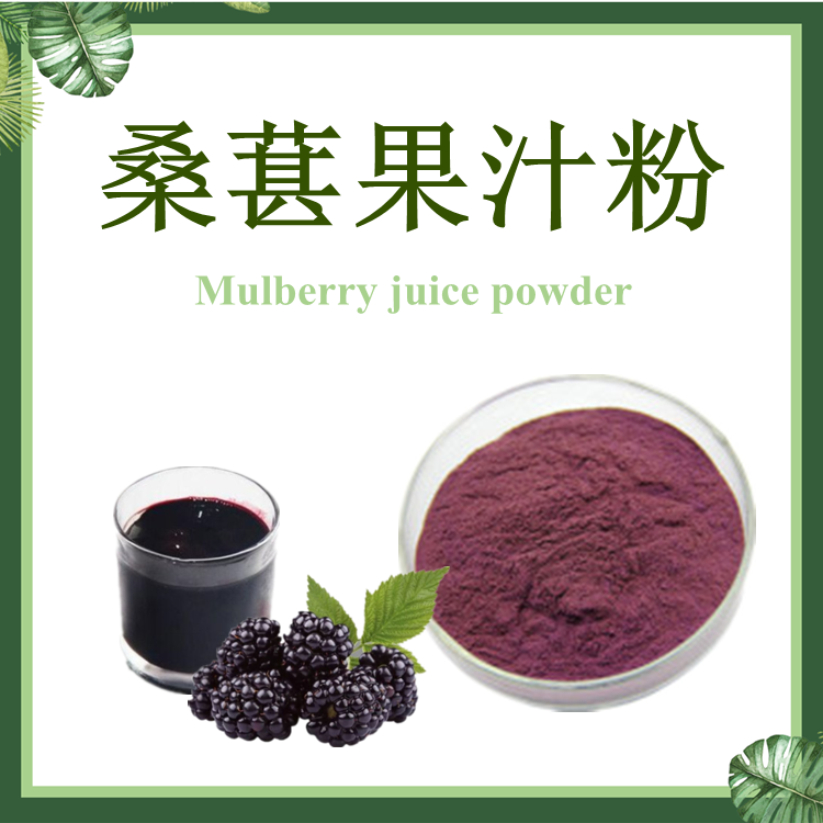  桑葚提取物 桑葚果汁粉 桑葚粉 桑果提取物【SC厂家】桑葚花青素 果汁粉