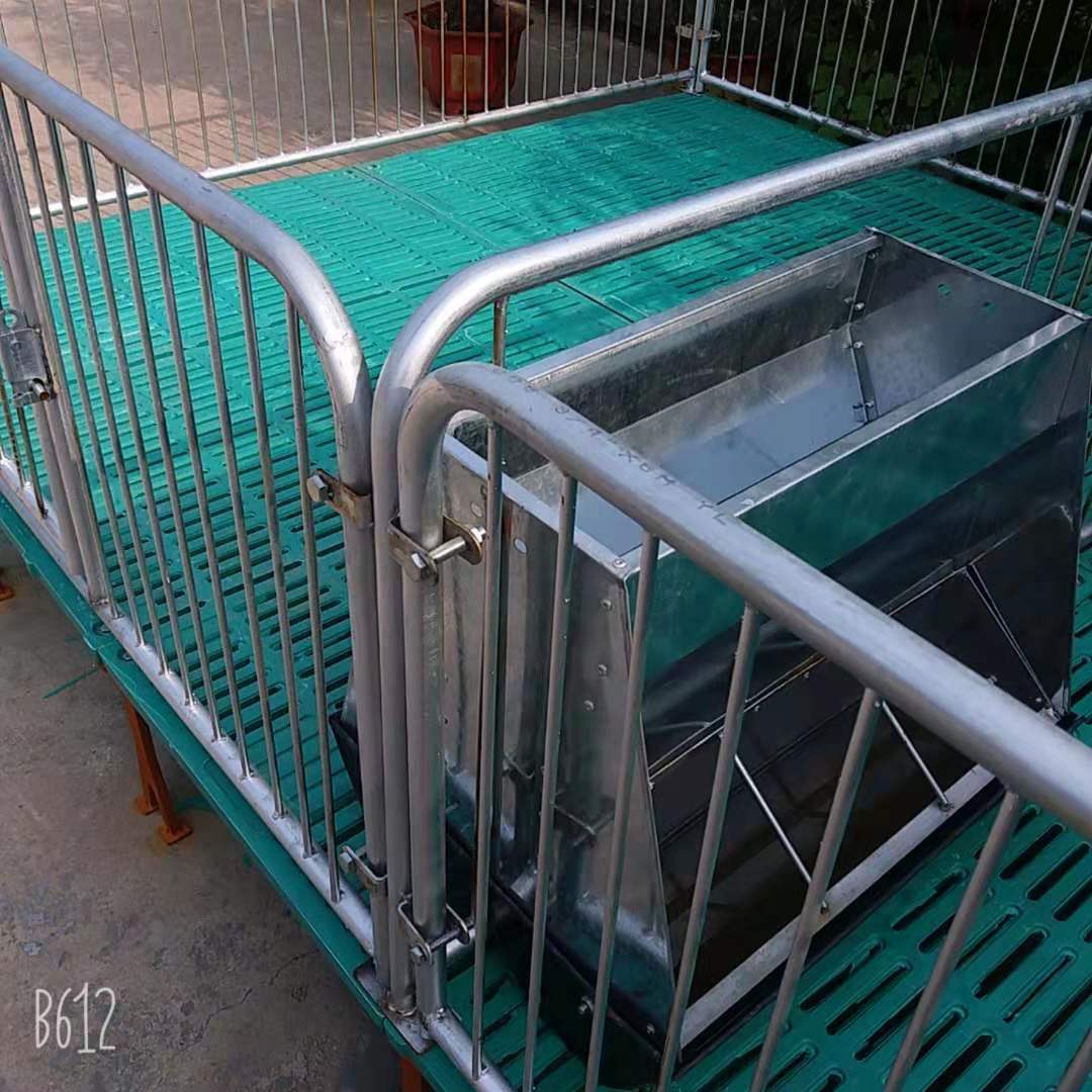 全复合双体仔猪保育床 塑料地板小猪保育栏 产床定为栏养猪设备