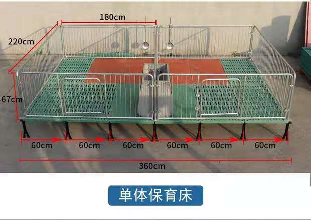 猪用保育床 仔猪全复合保育床 热镀锌产床养猪用保育栏现货销售