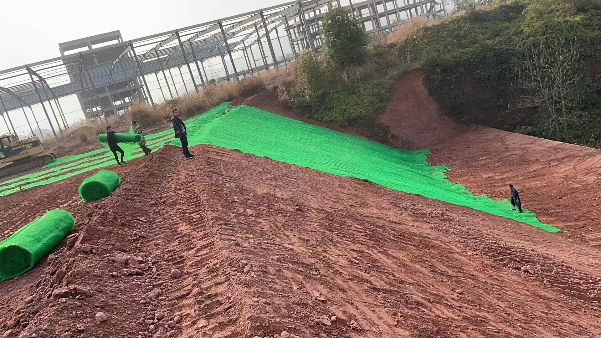 三维植被网植草护坡生产厂家 联拓
