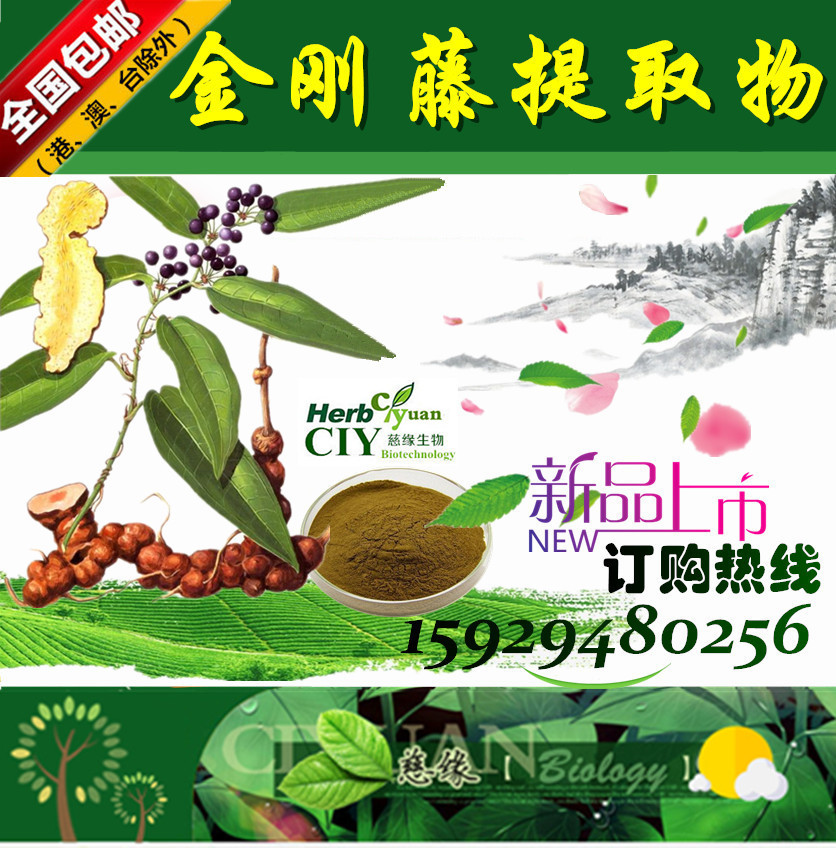 菝葜提取物 金刚藤提取物 10:1【SC厂家】菝葜粉