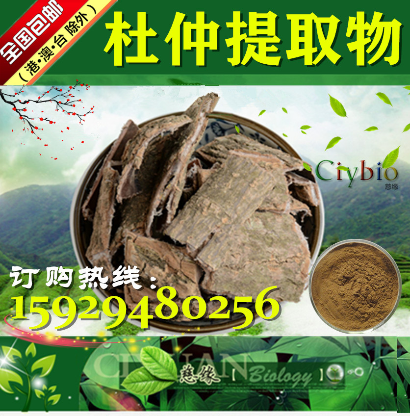 杜仲提取物 10:1 杜仲皮粉 【SC厂家】杜仲绿原酸