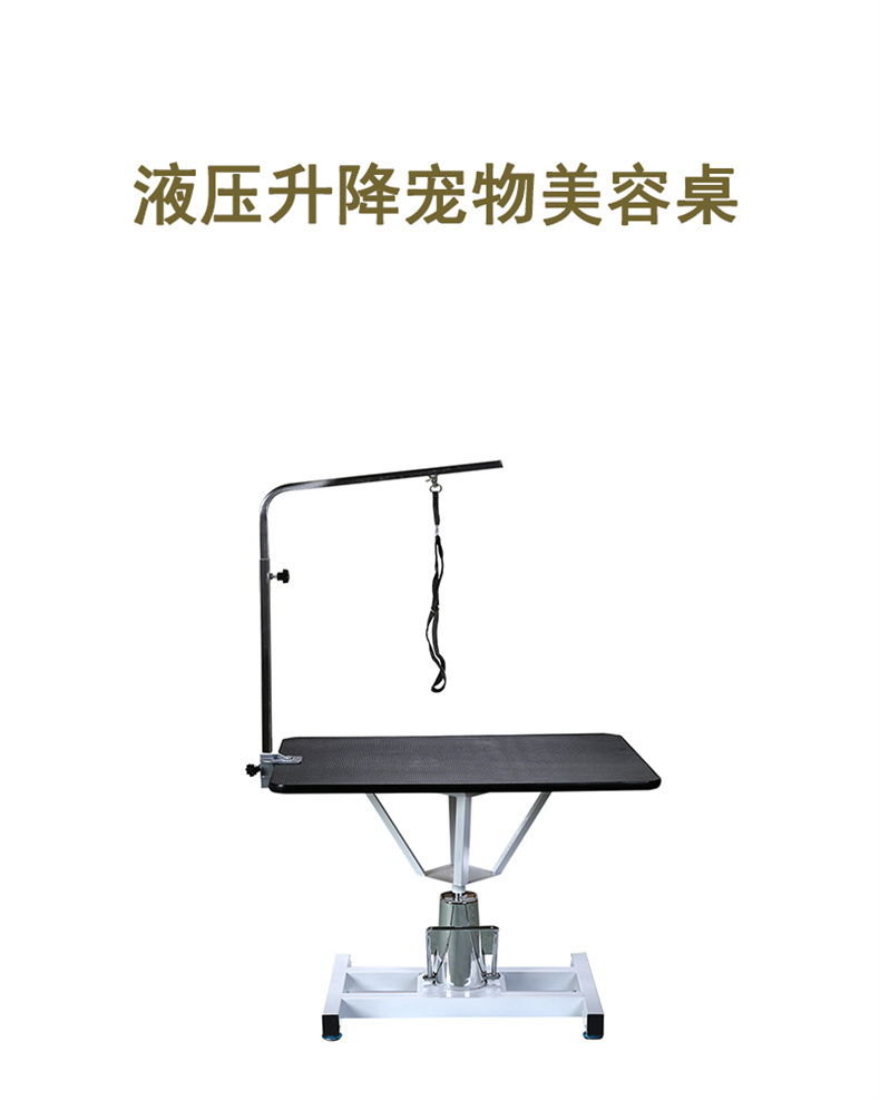 丽泽宠物美容台 宠物护理桌 宠物升降吹水桌