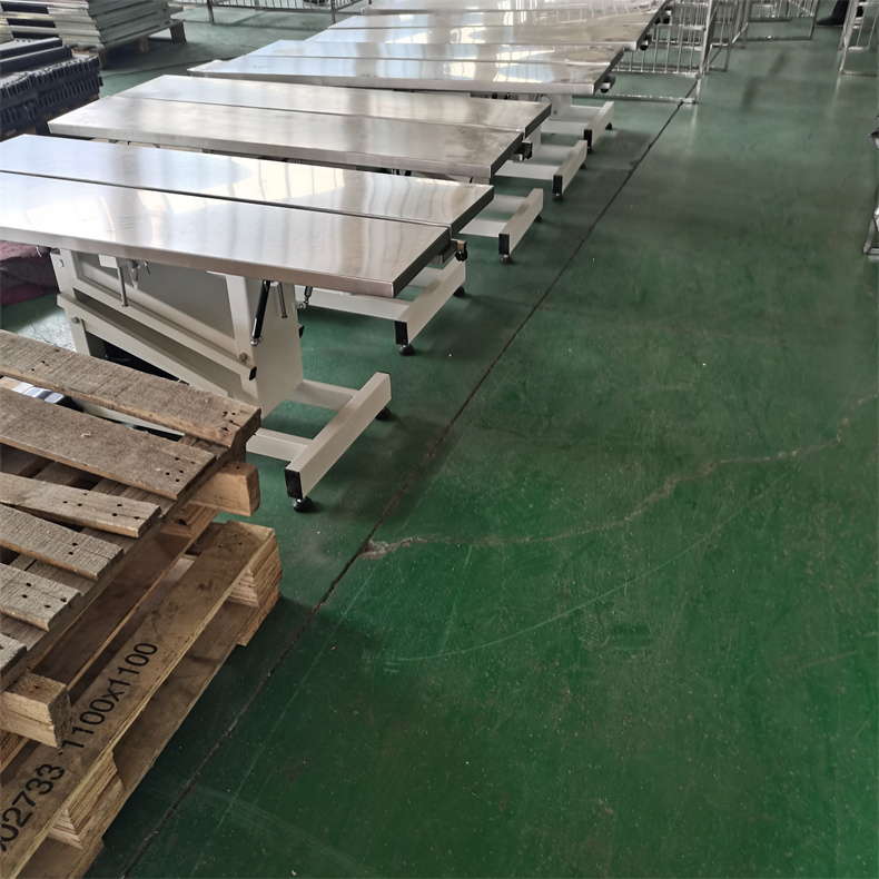 丽泽宠物手术台宠物医院医疗设备304不锈钢狗狗猫咪电动升降手术台操作台