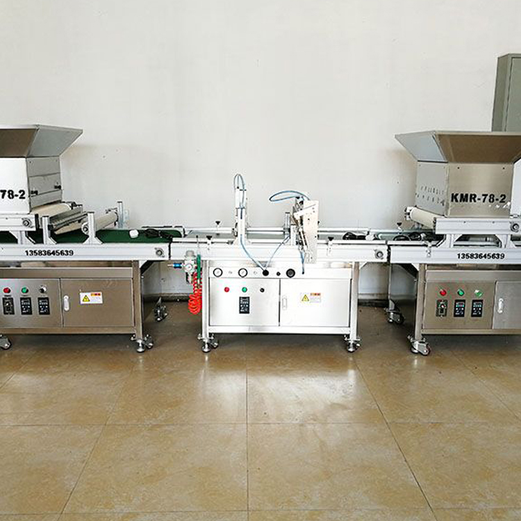穴盘育苗播种机 品质优良 凯迈瑞农业KMR78-2全自动穴盘播种机供应