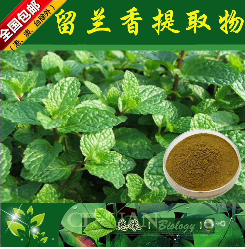留兰香提取物 10:1 香薄荷提取物 【SC厂家】绿薄荷提取物