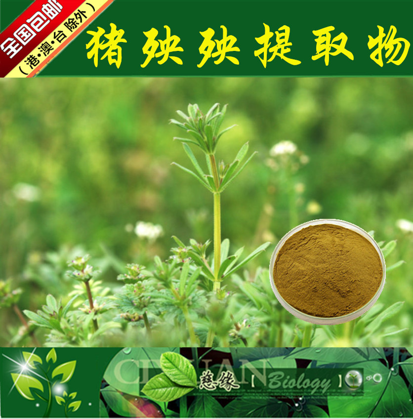 猪殃殃提取物 10:1 拉拉藤提取物【SC厂家】猪殃殃粉
