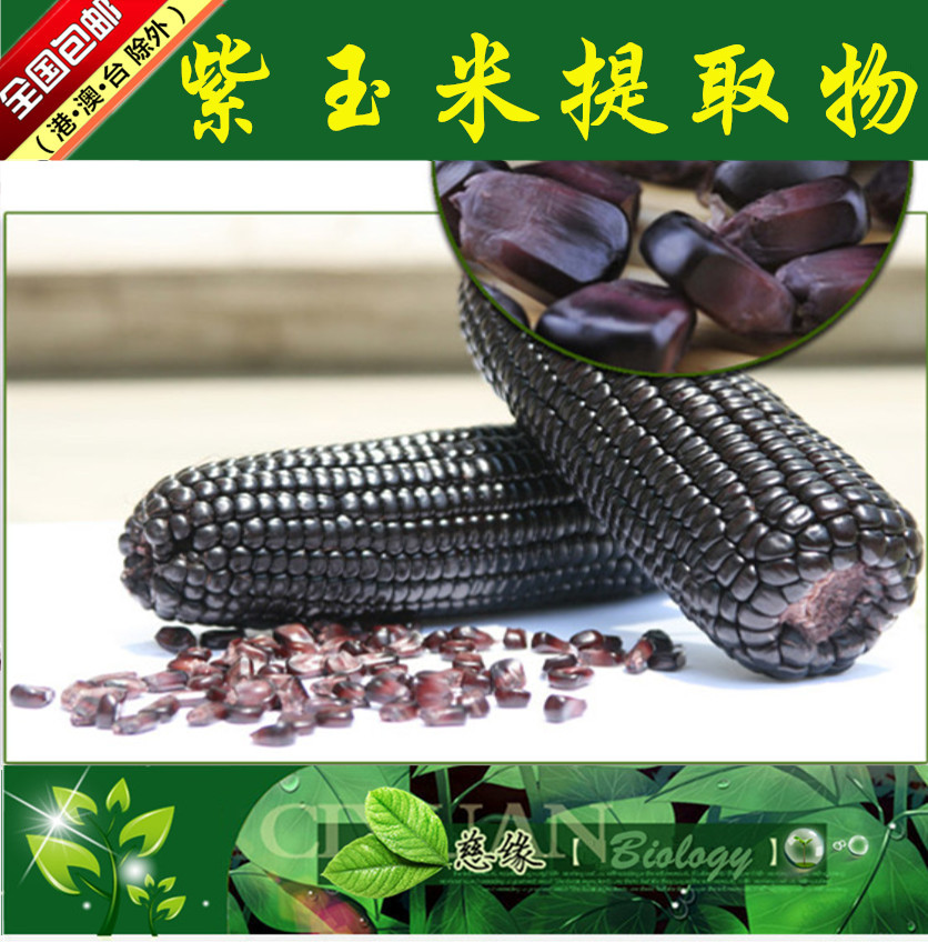 紫玉米提取物 10:1  紫玉米浸膏【SC厂家】紫玉米粉