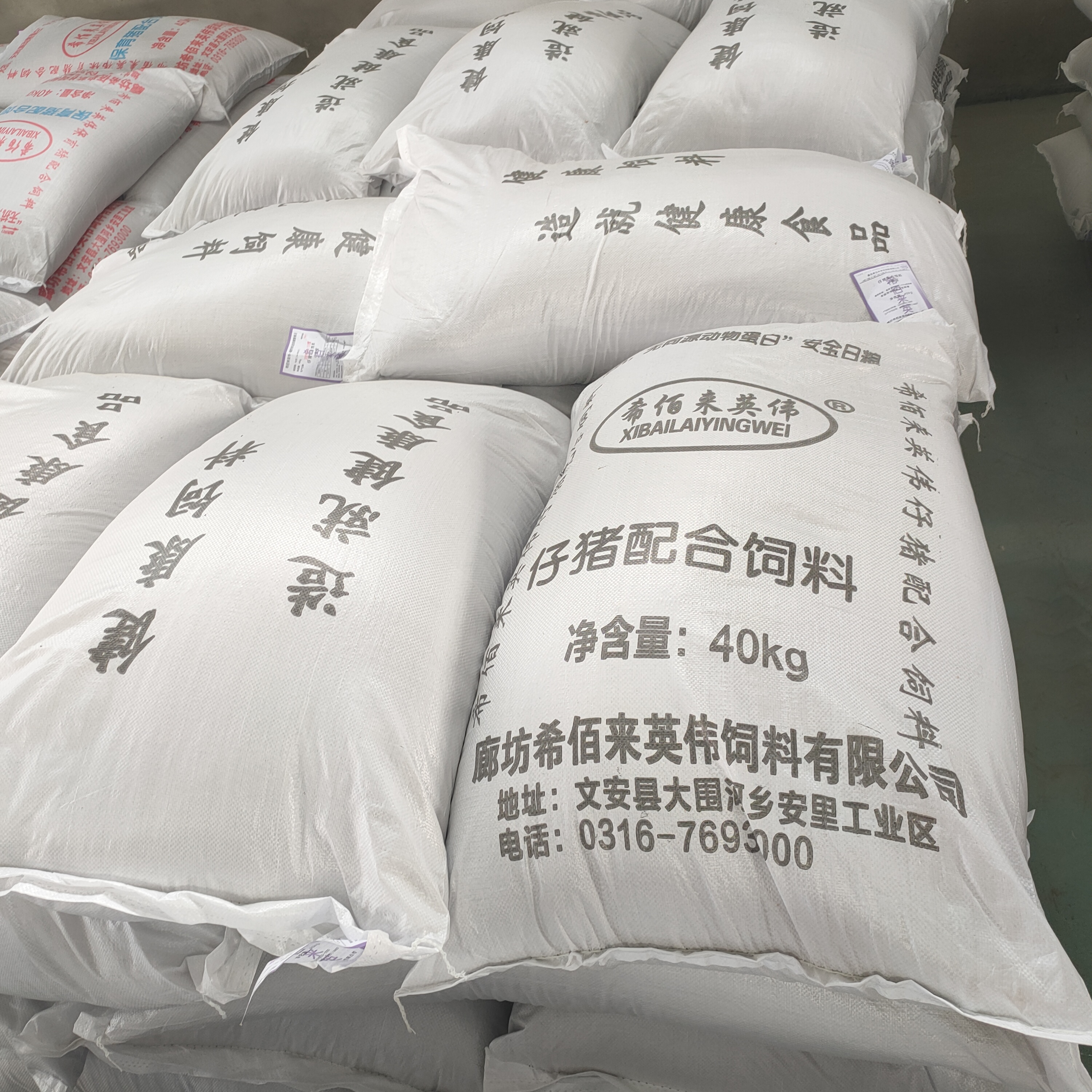 现货供应仔猪饲料 哺乳仔猪饲料 小猪用配合饲料 营养丰富