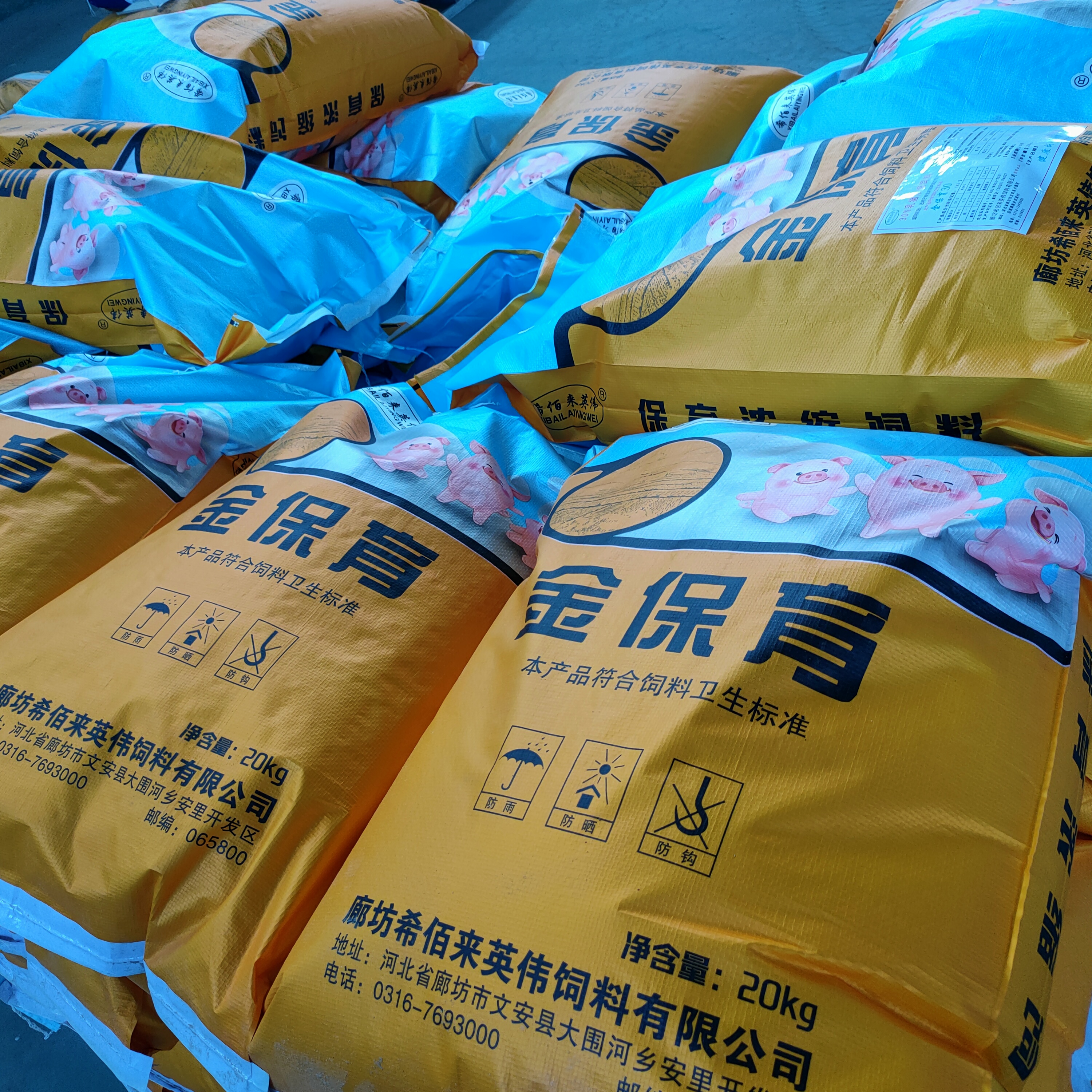 常年销售养殖用猪饲料 金保育猪饲料 猪饲料营养丰富 价格优惠