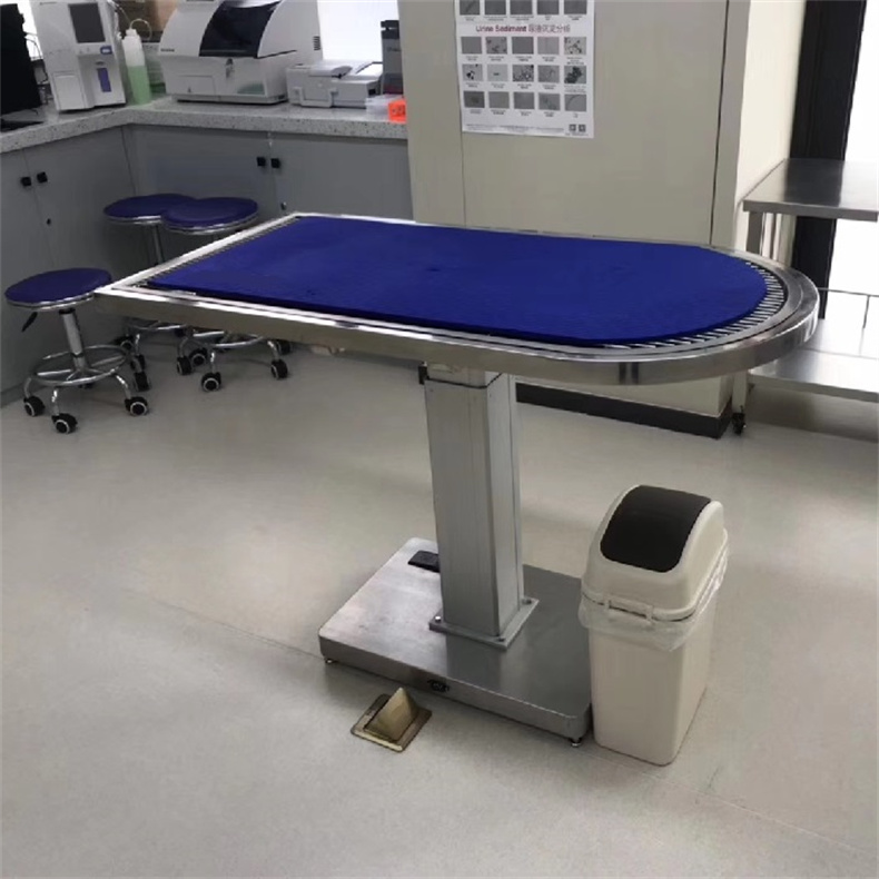 丽泽优质不锈钢宠物专用多功能电动升降处置台厂家生产尺寸可定一件代发