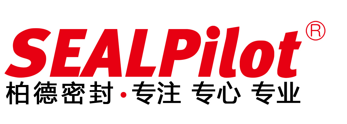 浙江柏德密封科技有限公司 标志