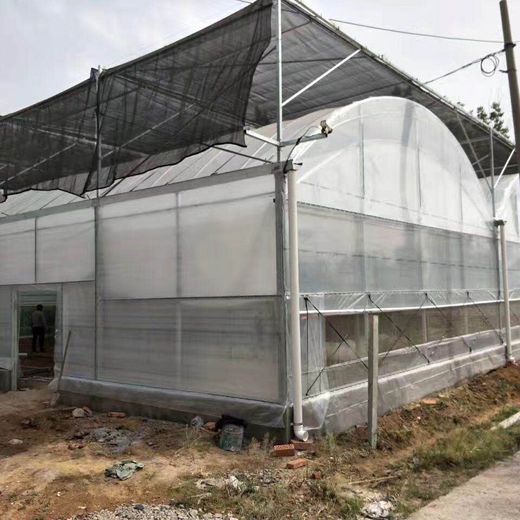 连栋薄膜温室大棚承建 山东连栋薄膜温室骨架 造价合理