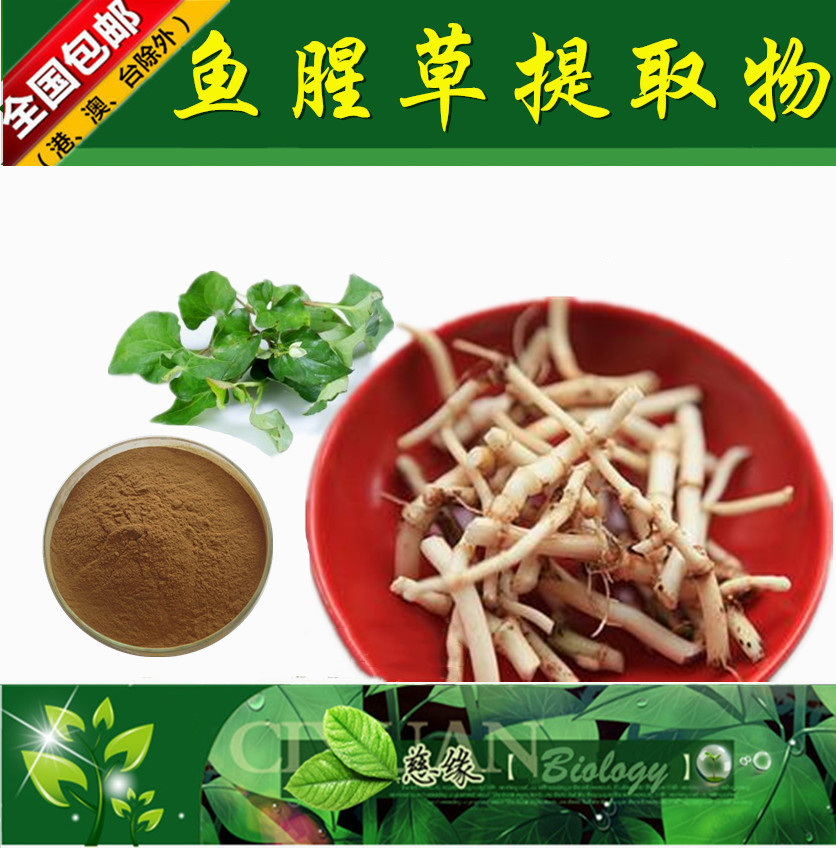 鱼腥草提取物 10:1 折耳根提取物【SC厂家】鱼腥草粉