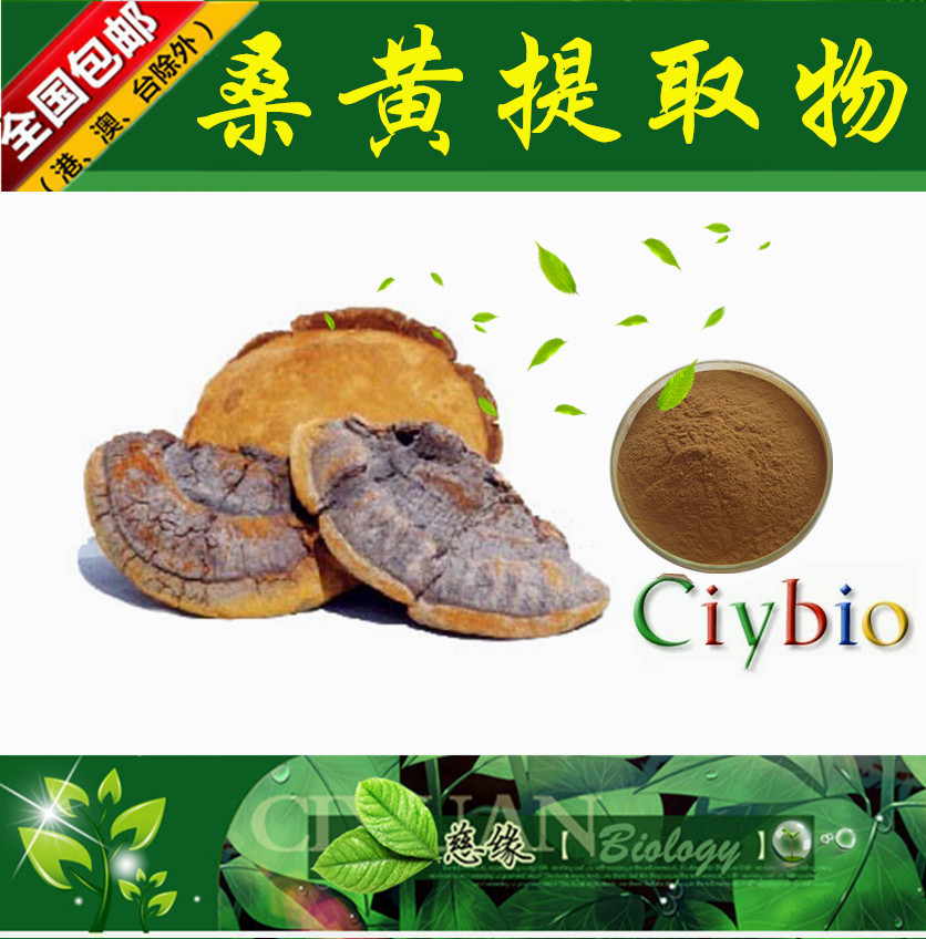 桑黄提取物 10:1 桑耳提取物 【SC厂家】桑黄粉