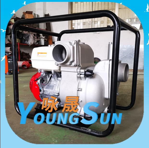 大流量汽油抽水泵 咏晟
