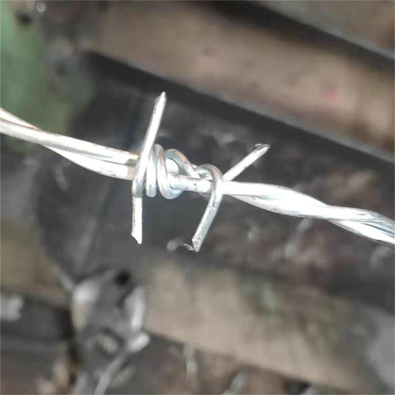   飞腾丝网 监狱防护热镀锌刺绳 刺丝滚笼刺绳 货源充足