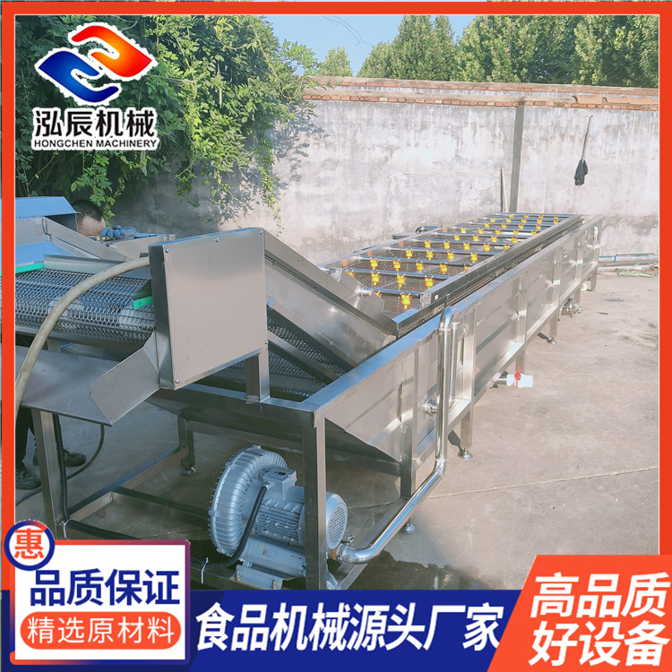杏鲍菇气泡清洗机 果蔬气泡清洗机 秋葵气泡清洗机 果蔬清洗设备 泓辰机械