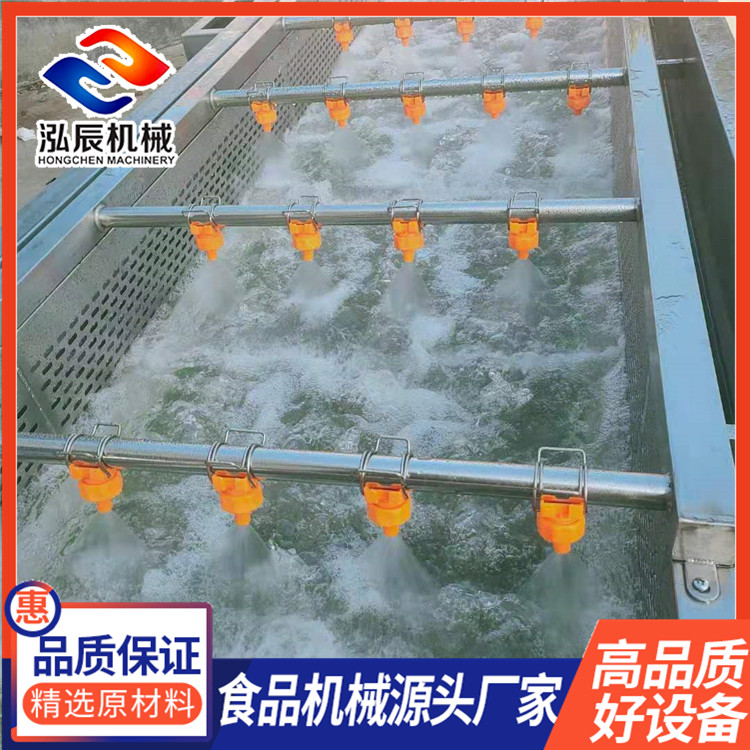 蔬菜气泡冲浪清洗机 多功能高压气泡清洗机 柑橘果蔬气泡清洗机 价格优惠 品质保证