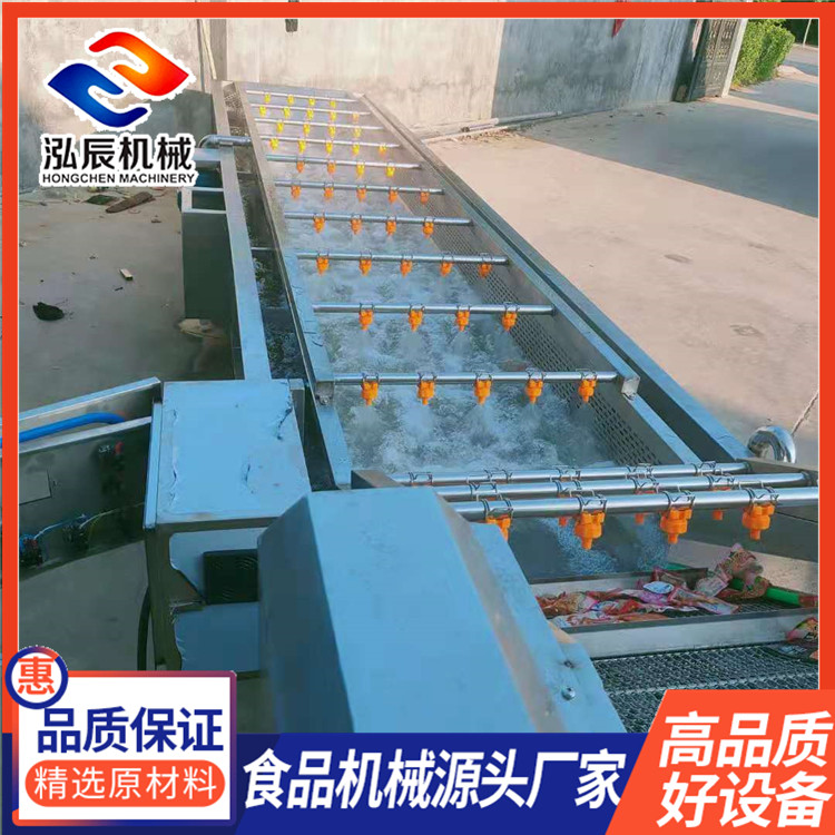 全自动蔬菜气泡清洗机 生菜茄子多功能气泡清洗机 菠菜净菜加工流水线 泓辰机械