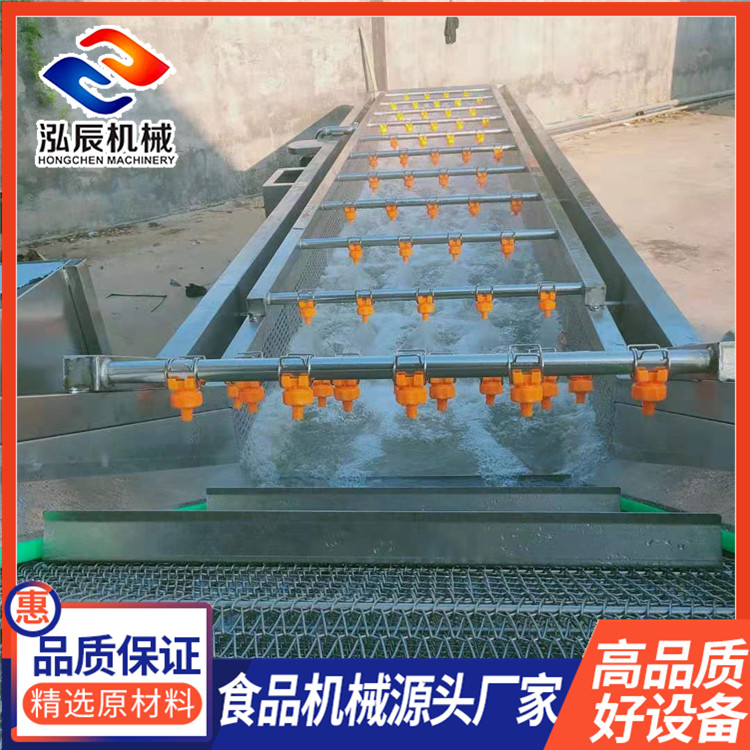 全自动果蔬气泡清洗机 扇贝海产品喷淋清洗机 果蔬气泡清洗机 净菜加工流水线 泓辰制造