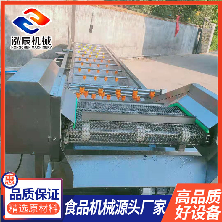 食品外包装袋清洗机 小龙虾高压气泡清洗机 无损伤气泡清洗机 质优价廉