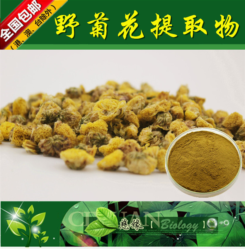 野菊花提取物 10:1 菊花提取物【SC厂家】野菊花粉