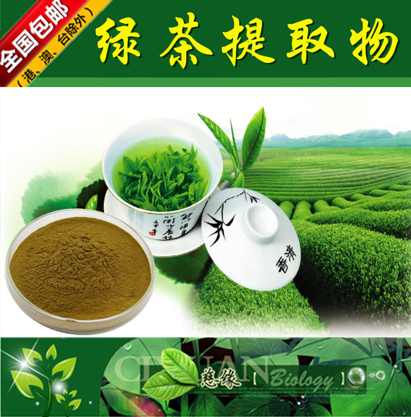 绿茶提取物 10:1 茶叶提取物【SC厂家】绿茶多酚