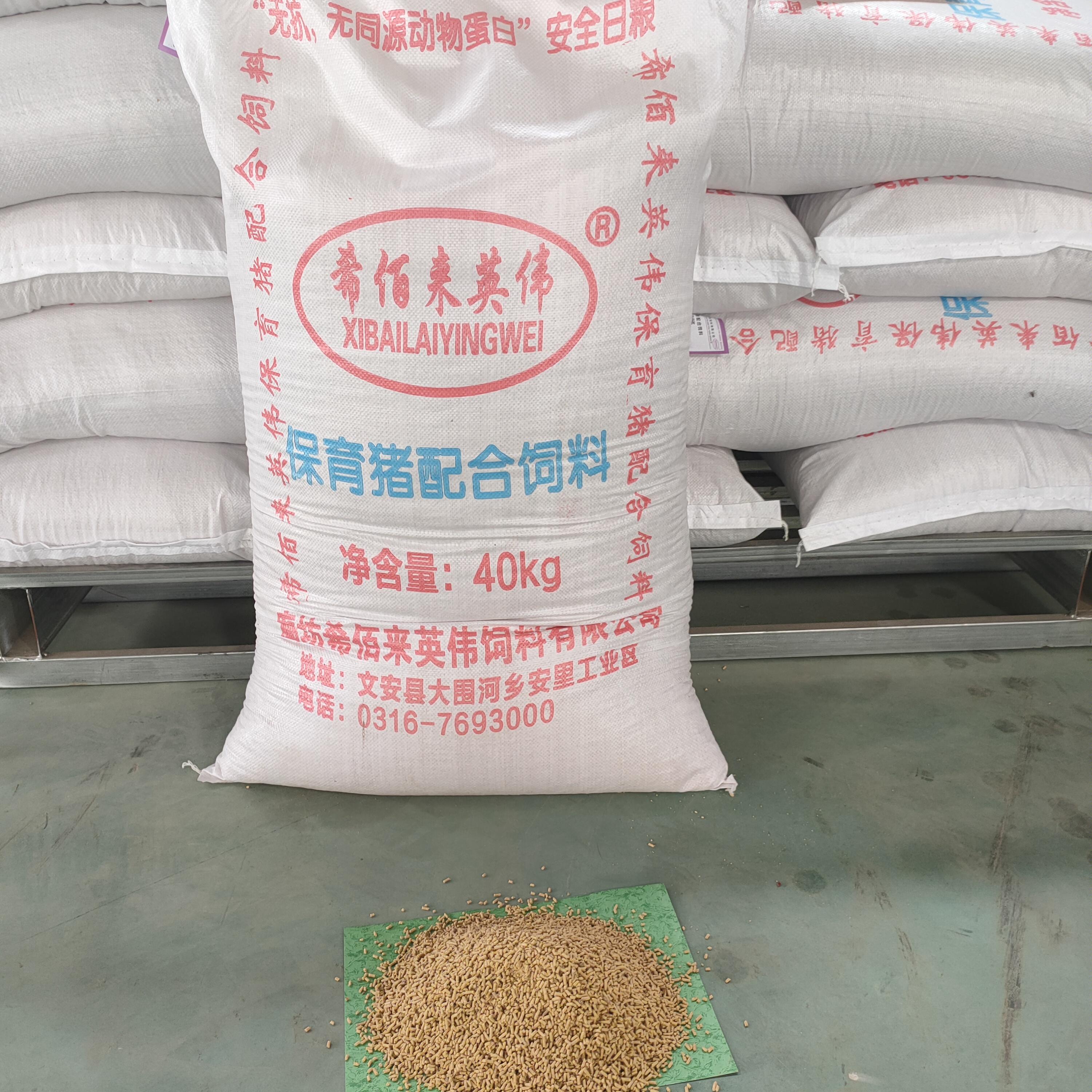 厂家销售保育猪配合饲料 小猪饲料 仔猪保育饲料 价格称心