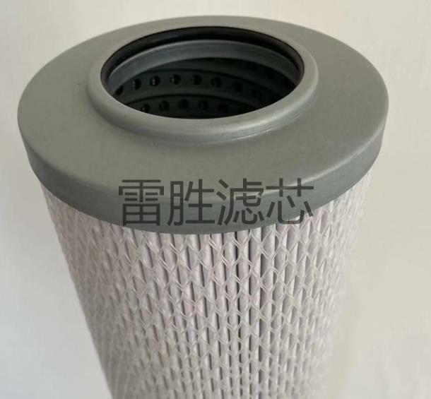 供应DFN10-1401 DN95*1016天然气滤芯 过滤器滤芯 雷胜 可定制 欢迎订购