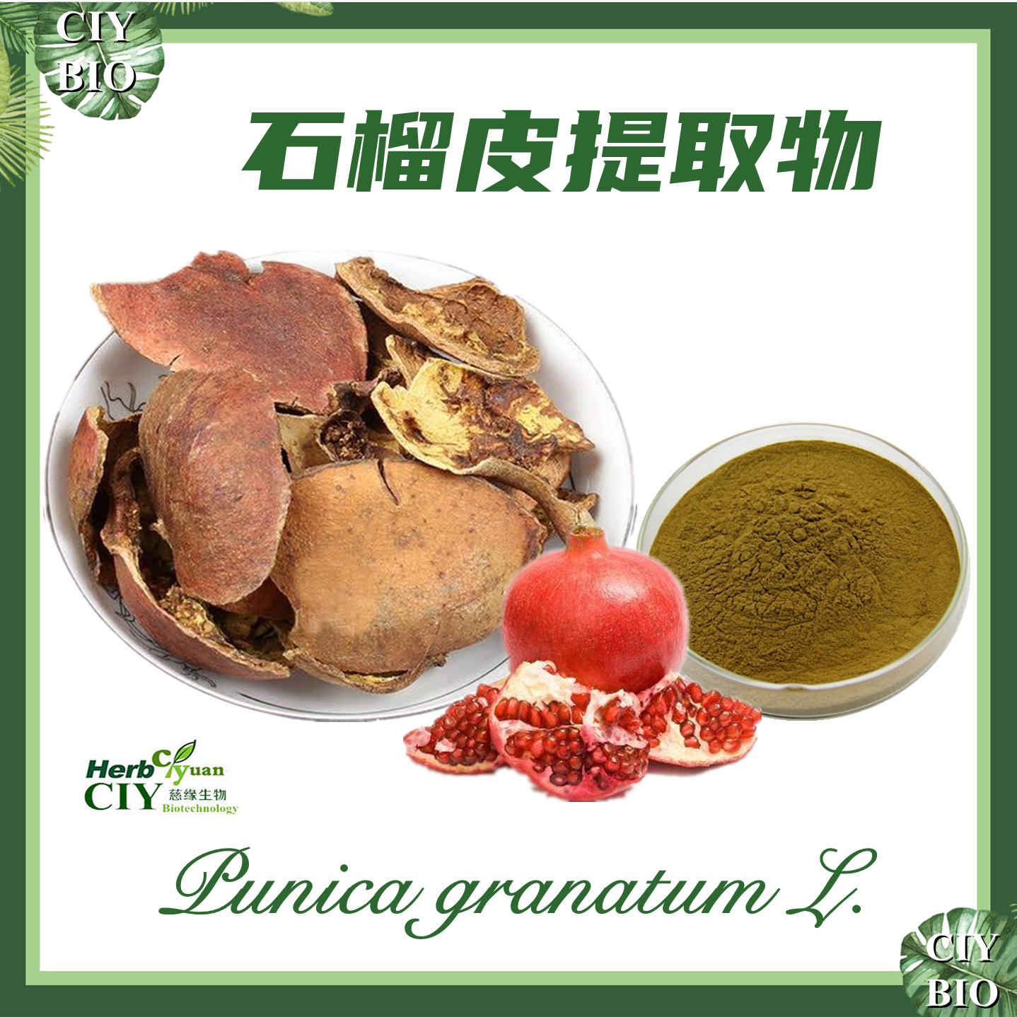 石榴皮提取物 10:1  石榴壳提取物【SC厂家】石榴皮多酚