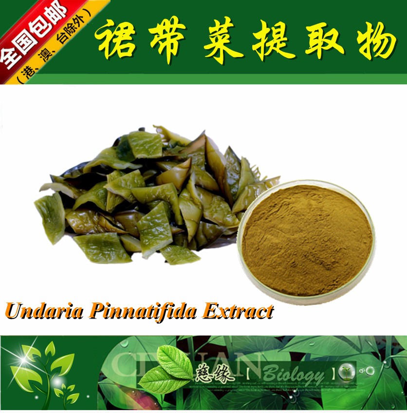 裙带菜提取物 10:1 褐藻提取物【SC厂家】裙带菜多糖