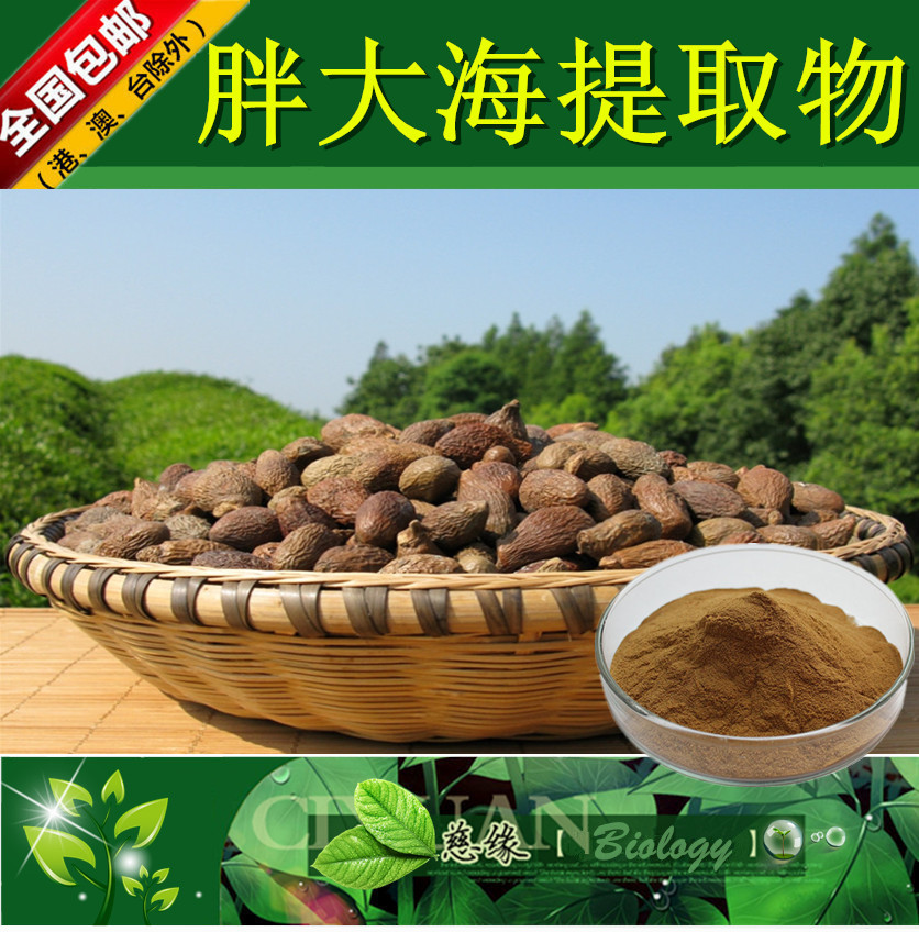 胖大海提取物 10：1 大海子提取物【SC厂家】浓缩胖大海粉