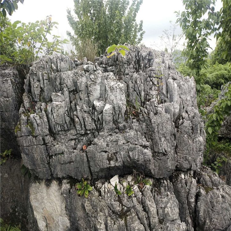 点金园林内江青灰色龟纹石假山制作 龟纹石造景 龟纹石批发