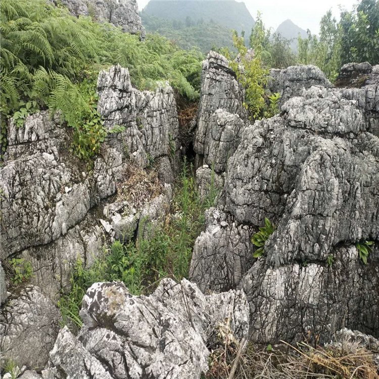 点金园林龟纹石批发 雅安黑色龟纹石价格 庭院龟纹石假山