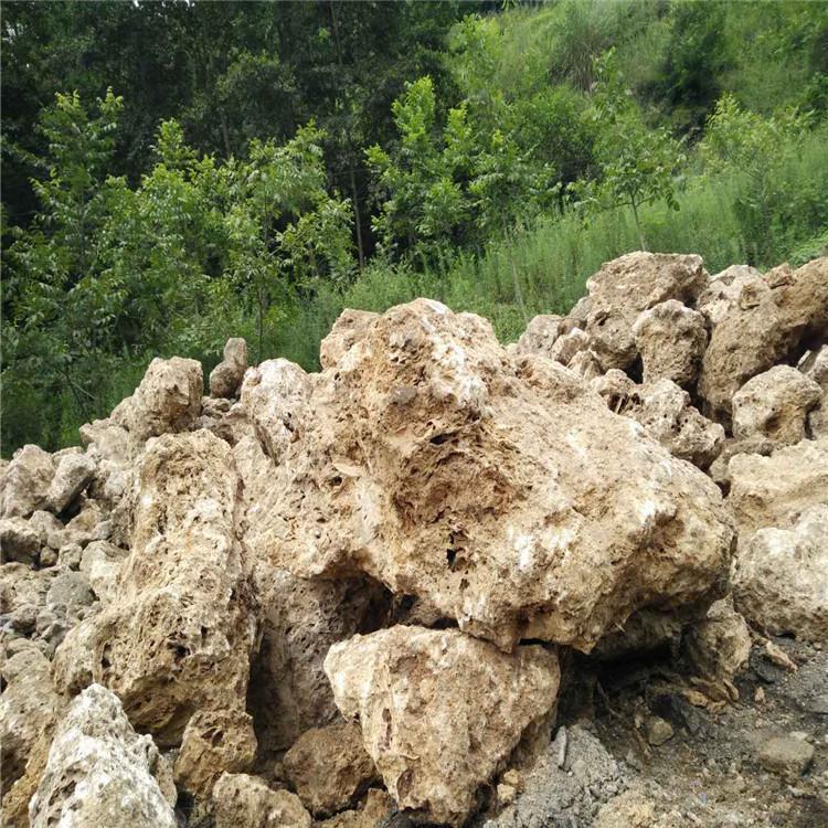 点金园林吸水石批发 上水石直销厂家 黄色吸水石批发 上水石批发